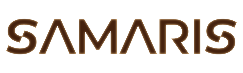 WRTeam Logo